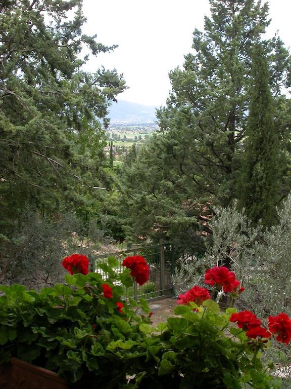 Agriturismo I Mandorli Trevi Ngoại thất bức ảnh